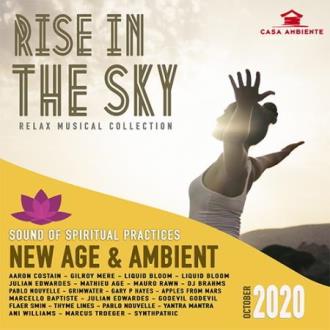 VA - Rise In The Sky (2020) MP3