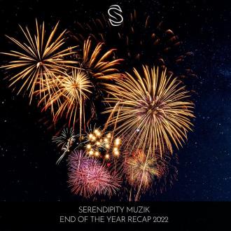 VA - Serendipity Muzik End Of The Year Recap 2022 (2022) MP3