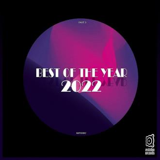 VA - Best of the Year 2022 Pt 3 (2023) MP3