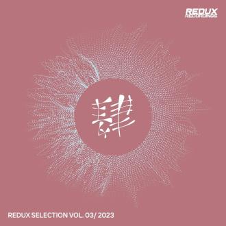 VA - Redux Selection (Vol.3) (2023) MP3