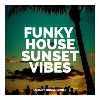 VA - Funky House Sunset Vibes (2023) MP3