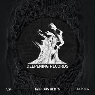 VA - Various Beats (2023) MP3