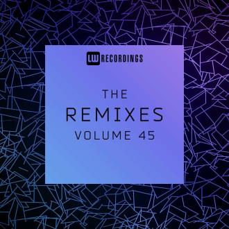 VA - The Remixes Vol 45 (2023) MP3