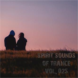 VA - Spirit Sounds Of Trance Vol 25 (Extended Mixes) (2023) MP3