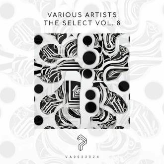 VA - The Select Vol. 8 (2024) MP3