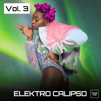 VA - Elektro Calipso, Vol 3 (2024) MP3