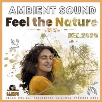 VA - Feel The Nature: Ambient Sound (2020) MP3