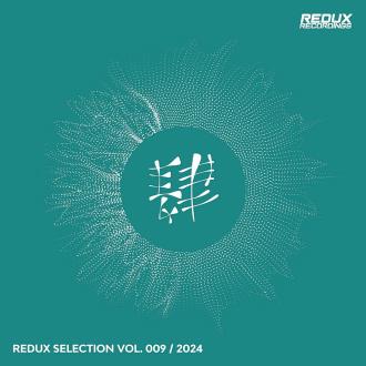 VA - Redux Selection, Vol. 9 / 2024 (2024) MP3