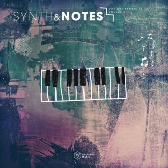 VA - Synths & Notes, Vol 2 (2024) MP3