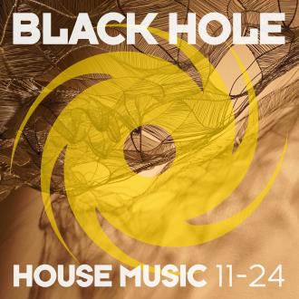 VA - Black Hole House Music 11-24 (2024) MP3