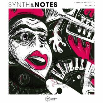 VA - Synths & Notes Vol. 4 (2025) MP3