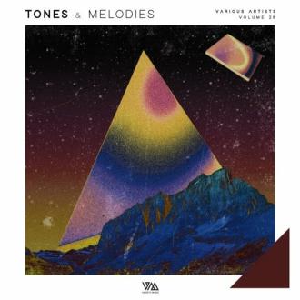 VA - Tones & Melodies, Vol. 28 (2025) MP3
