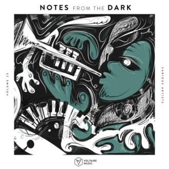 VA - Notes from the Dark, Vol. 25 (2025) MP3
