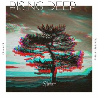 VA - Rising Deep, Vol. 2 (2025) MP3