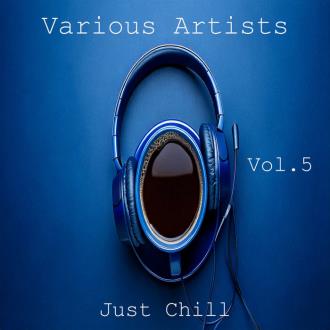 VA - Just Chill Vol 5 (2025) MP3
