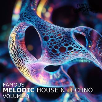 VA - Famous Melodic House & Techno, Vol 3 (2025) MP3