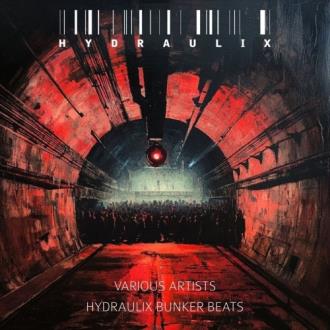 VA - HYDRAULIX BUNKER BEATS (2025) MP3