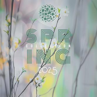 VA -  Spring Collection 2025 (2025) MP3