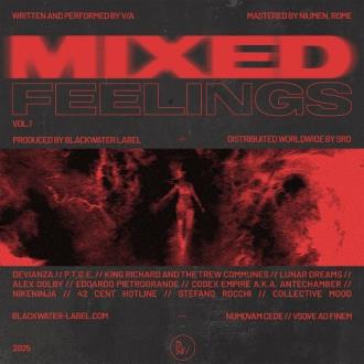 VA - Mixed Feelings, Vol. 1 (2025) MP3