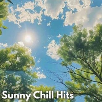VA - Sunny Chill Hits (2025) MP3