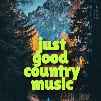 VA - just good country music (2025) MP3