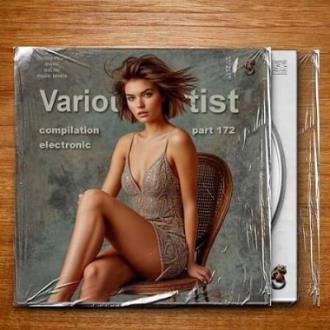 VA - Compilation Part 172 Electronic (2025) MP3