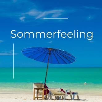 VA - Sommerfeeling (2025) MP3 VA - Sommerfeeling (2025) MP3